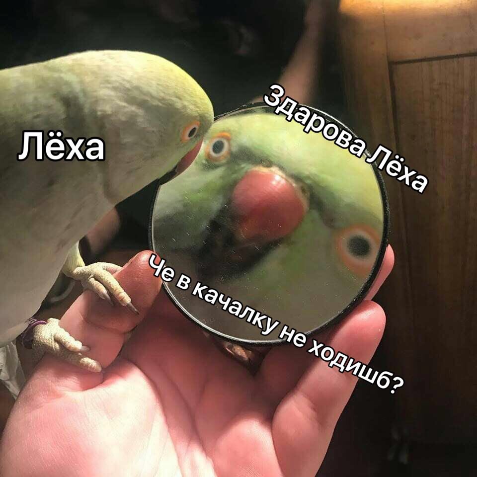 DlW_6zEX0AAMLhb.jpg