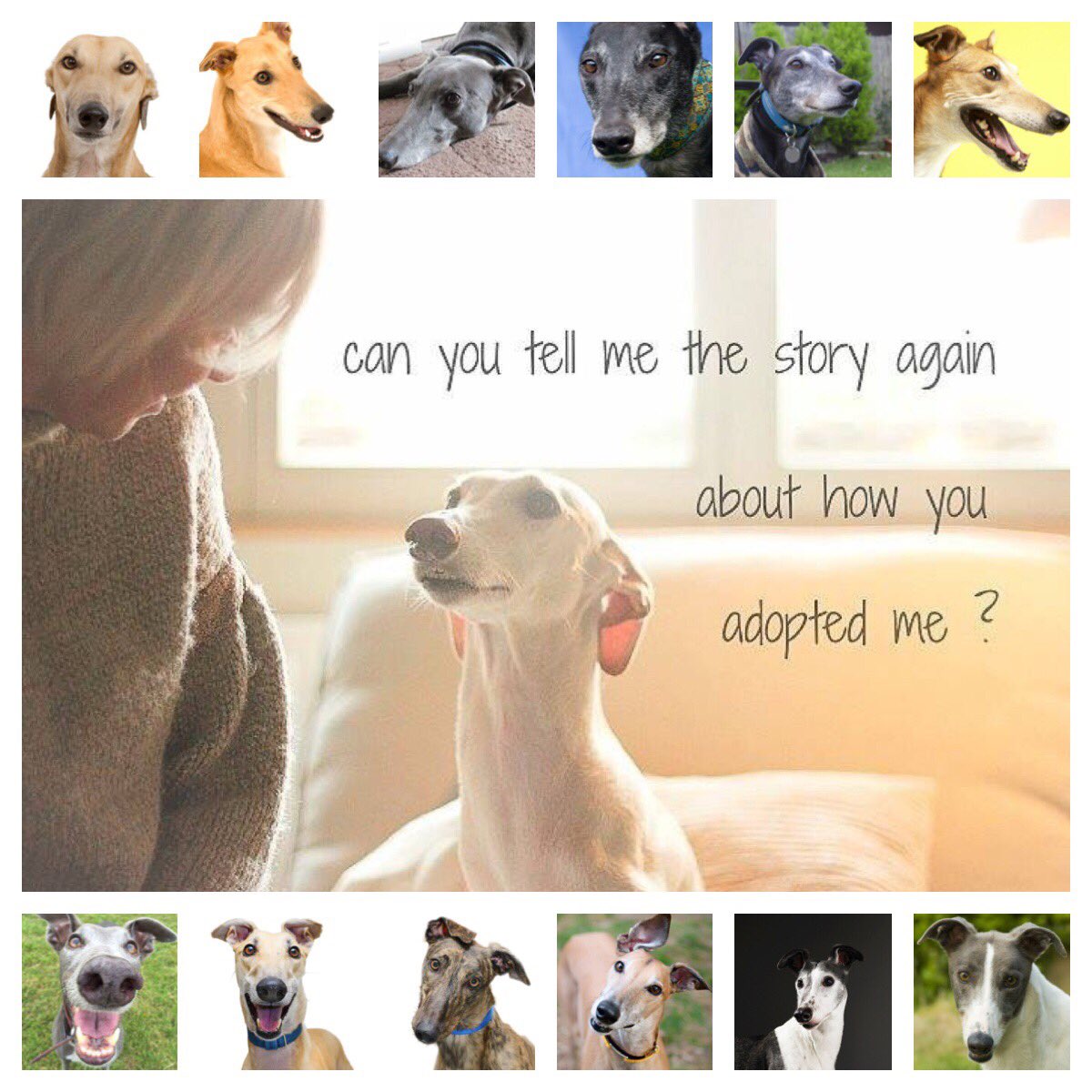 Daddynige01's tweet photo. Can you tell me the story again about how you adopted me? https://t.co/8L1OYr1DJM