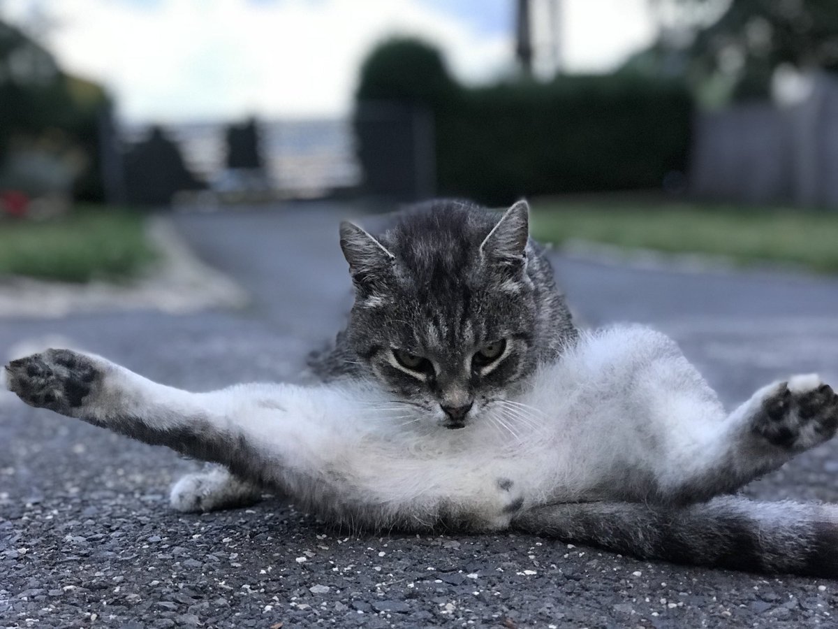 DJGregoryLuke's tweet photo. My face this morning, eagerly waiting to finally hear @AmelieLens on #bmylake, Keszthely, Hungary. The time can't come fast enough. Show NO MERCY!🤪🤯 https://t.co/As6edsGV4J