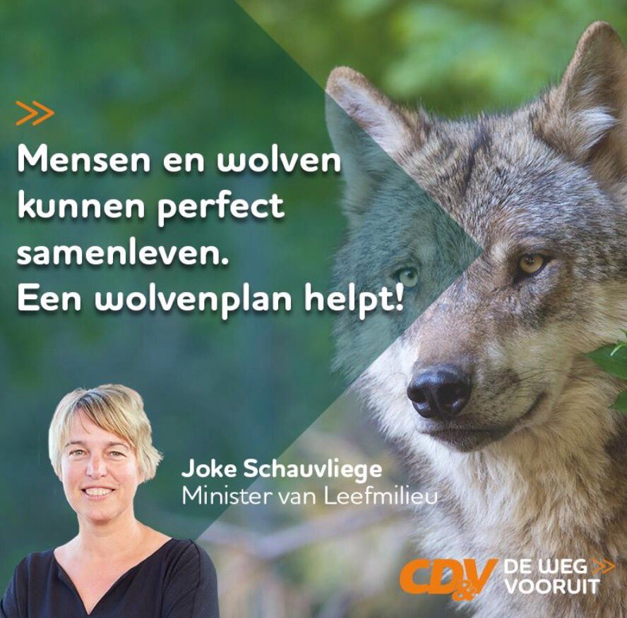 BennieNC's tweet photo. Ik begin te vrezen voor ons wolvenbestand #bosplan #schauvliege https://t.co/PxikXO7zi0