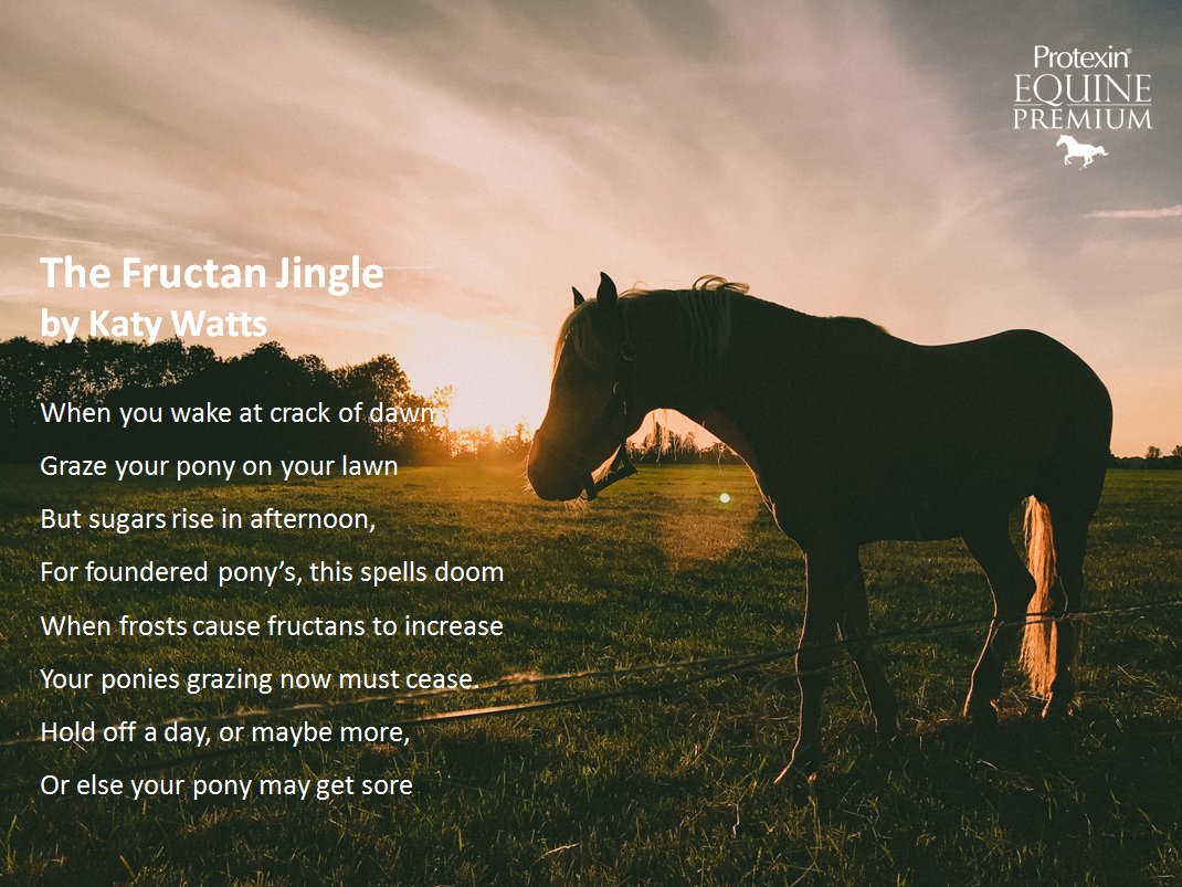 Keep a close eye on any laminitis prone or at risk horses, and remember that feeding a pro and prebiotic supplement can help to balance the hind gut bacteria, improving fibre digestion and reducing the damaging effects of starch. #PoweredByProtexin