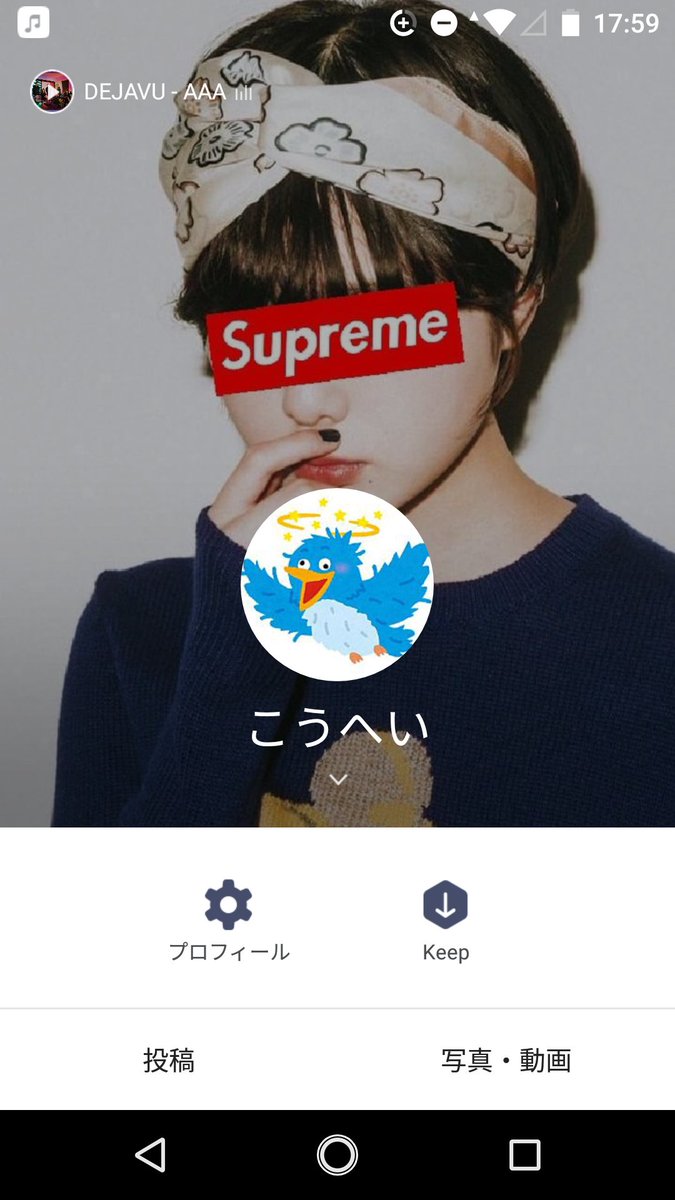 ぽにょ Pa Twitter 平手 Supremeというオシャレなホーム画とアホそうな鳥のアイコン これまたアンビバレント 意味知らん