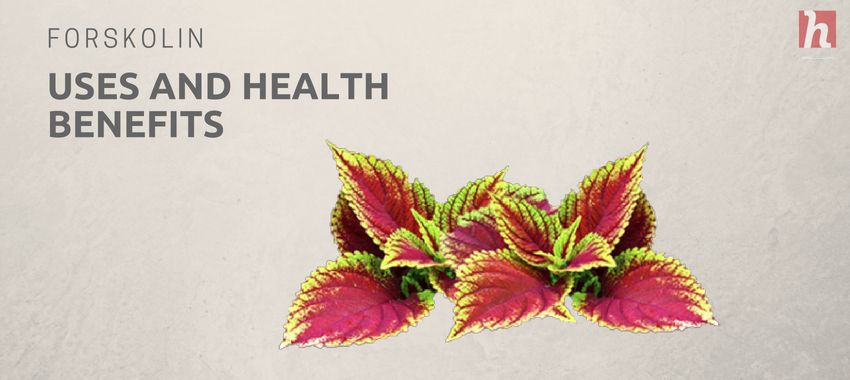 HealthMagReview's tweet image. #HealthMag #HealthReviews #Forskolin #ForskolinUses #ForskolinBenefits

healthmagreviews.com/forskolin-uses…