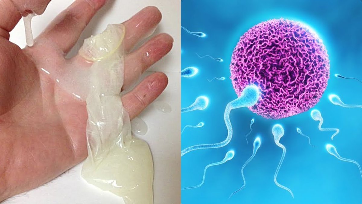 ����� ������ � ������ ������� ����� ���, �����