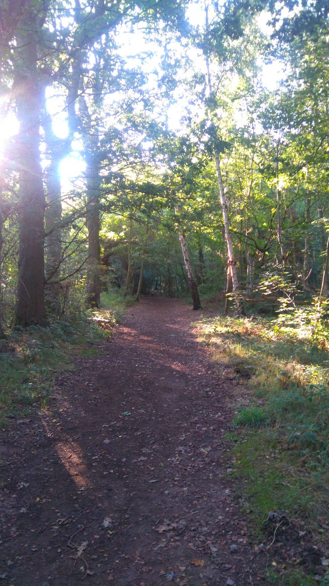 runanninarun's tweet image. 20 miles in glorious sunshine. Fresh wind.. Temperatures are slowly getting lower. Beautiful colours,  me feeling blessed to be able to do this #runshine