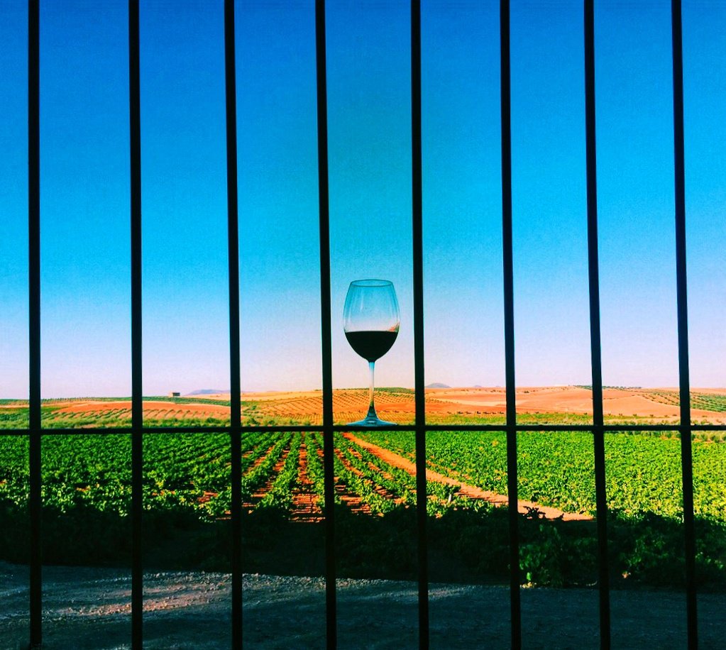 Coloreando con nuestros vinos y paisajes los últimos días de #Agosto 🌿🍷☀️
·
·
·
#Hotelbodegaelmoral #Pagodelasencomiendas #vinos #bodegas #viñedos #Unadir #Lenguaazul #Xentia #naturaleza #paisaje #vistas #winelovers #rural #findesemana #Extremadura #Enoturismo