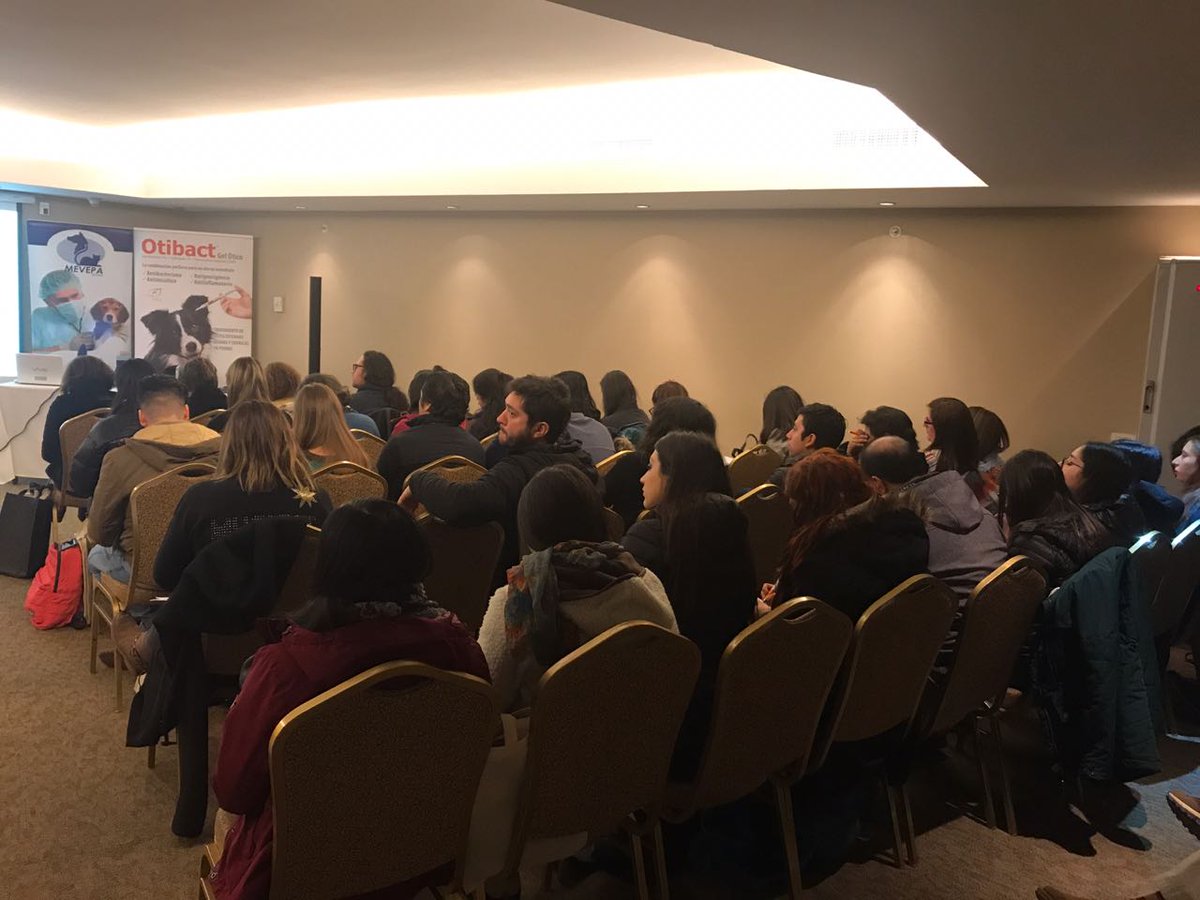 SinamedCL's tweet photo. Atención!!! 
Hoy y mañana nos encontraremos en el Hotel Radisson de Puerto Varas, en la VII Jornadas de Medicina de Pequeños Animales Mevepa Los Lagos

#AGFA #SinamedCL #Ecoray #SonoScape

41 2911026
ventas@sinamed.cl
Concepción -  Santiago https://t.co/BE2sJ0giXs
