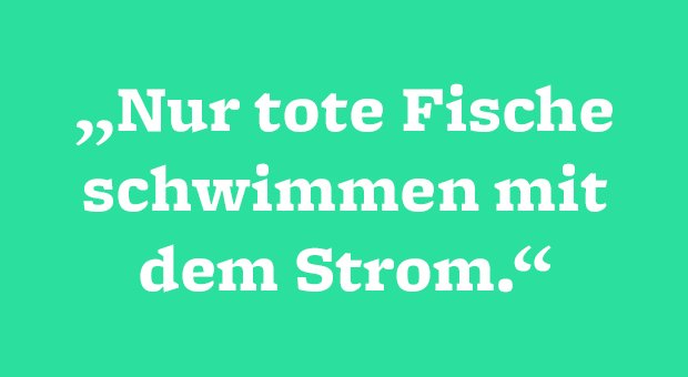 LenzHartung's tweet photo. Ein paar Zitate, die etwas altklug erscheinen aber alle ein bisschen Wahrheit beinhalten 😉Kurzer Artikel zum Wochenendstart! #motivation #success 
https://t.co/YjYwy1tkKZ https://t.co/gwTZ8P5cVf