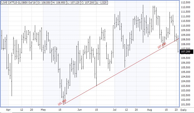 Oct #Cattle!?!?!  Don't tell my heart, my achy breaky heart, I just don't think bulls understand