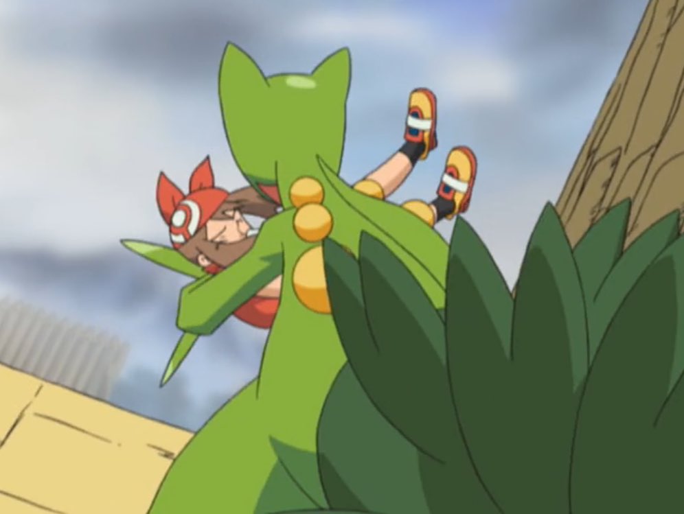 にかいち Sur Twitter 猫の恩返し終盤でのバロンさんによるお姫様抱っこが話題ですが ここでポケモン アニポケ のバシャーモやジュカインのカッコイイお姫様抱っこも振り返ってみましょう 猫の恩返し Kinro Anipoke