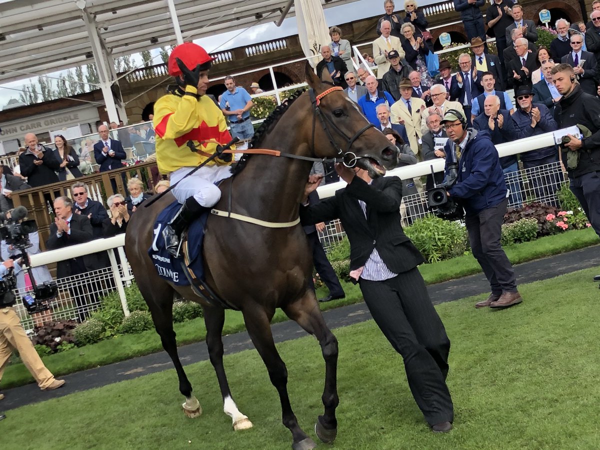 bwhorseracing's tweet photo. Some atmosphere @yorkracecourse as everyone awaits the outcome to the photo for the Nunthorpe! Proper drama! #AlphaDelphini https://t.co/9MlAN0nhXl
