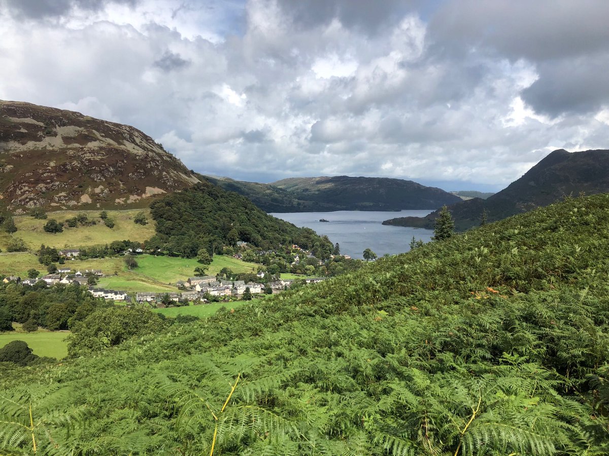 Dales Ranger tweet media