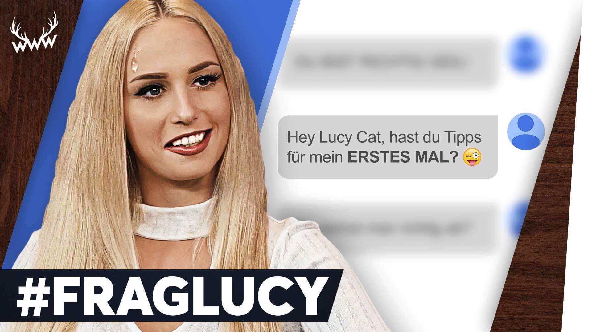 Cat de lucy Lucy the