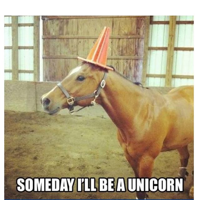 equifloor's tweet image. ...someday 🦄💕

ow.ly/xBCf50ihsyJ

#equifloor #stableflooring #interlockingmats #equestrianlife #riderhour #tacktalktuesday #247equestrian #horse #stable #equestriantrade #riderhour #thedressagehour #equinehour