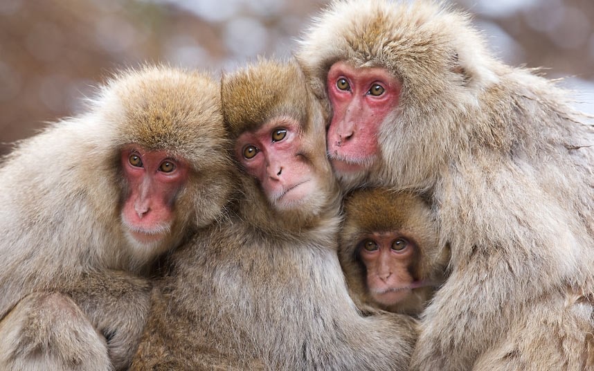 I want to be that little guy in the middle!