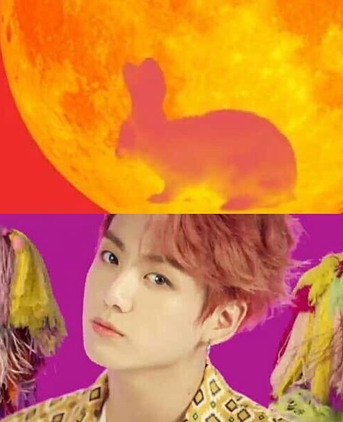 DEER_KV's tweet photo. 🐰🐯💜 https://t.co/jW5FgMCu1R