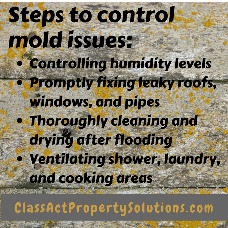 ClassAPS's tweet image. #ClassActPropertySolutions #MoldIssues #RealEstateSelling #HumidityAndMold #Kansas