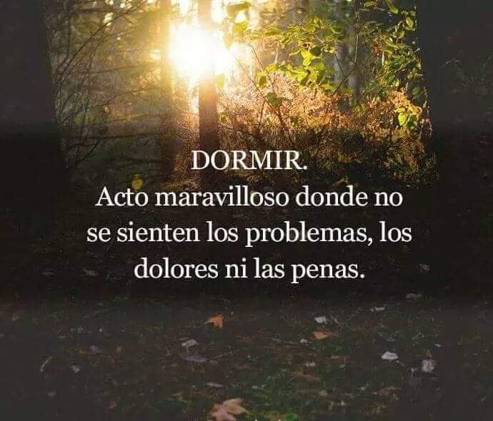 4perras's tweet photo. https://t.co/SE2gN8kGUD