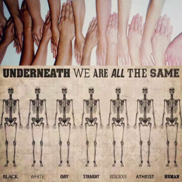 RehumanProject's tweet photo. https://t.co/RDTIVbtBIw