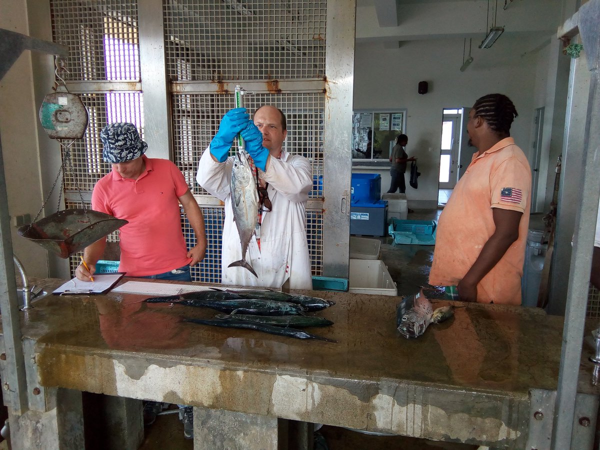 Dominica Fisheries (@domfisheries) on Twitter photo It was a pleasure hosting <a href="/johnkpinnegar/">John Pinnegar</a> and <a href="/EngelhardGeorg/">Georg Engelhard</a> from <a href="/CefasGovUK/">Cefas</a> for the past few days. Together we're gaining new insights from the Dominican fisheries sector and better ways to manage it sustainably. It was a pleasure hosting <a href="/johnkpinnegar/">John Pinnegar</a> and <a href="/EngelhardGeorg/">Georg Engelhard</a> from <a href="/CefasGovUK/">Cefas</a> for the past few days. Together we're gaining new insights from the Dominican fisheries sector and better ways to manage it sustainably.