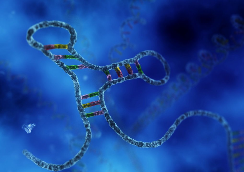 MedBiotechnol's tweet photo. #RNA Interference #RNAi in #Biotechnology
https://t.co/baR6MwJr9a
CALL FOR PAPERS: Journal of Medical Biotechnology.
To Submit Manuscript Email: medicalbiotech@pulsusinc.com, medbiotech@emedicalscience.com (or) send us a direct message via twitter Journal of @MedBiotechnol https://t.co/5tY65iWG3d