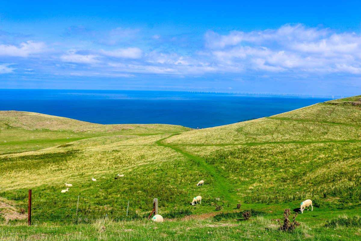 pip_says's tweet image. #travel lovers! Have you been to The Great Orme in North #Wales? This gorgeous limestone headland is great for hiking &amp;amp; picnics. Take the cable car up for stunning views of Llandudno, or ride all the way up on Britain's only cable-hauled street Tramway! #travelblogger