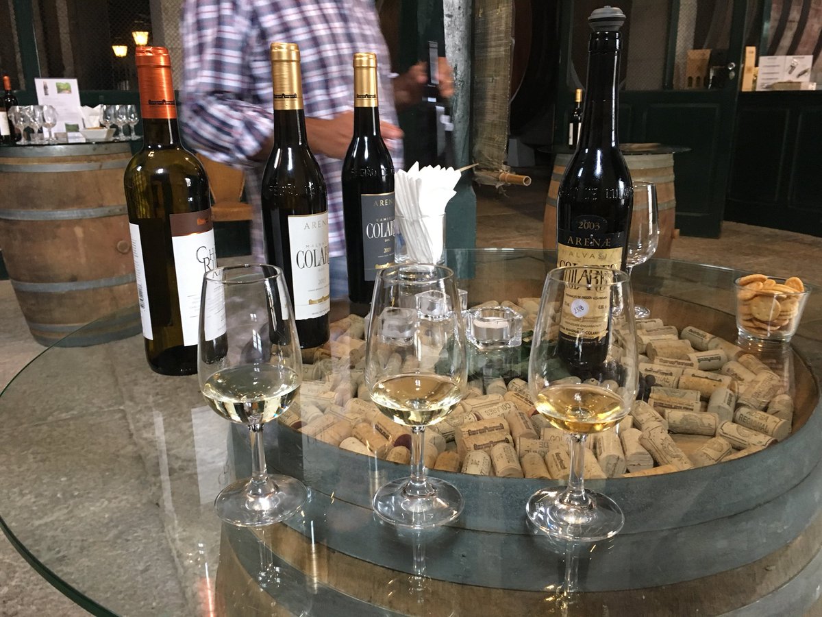 julietbravofox's tweet photo. A date on a cloudy August day in Colares at the Adega Cooperativa shows us the latest whites plus a blast from the past. More to come in this week’s update to #BrokenAzulejos on #366Vinhos Adegas, Quintas, &amp; Herdades #Colares #Portugal #vinhos #wines https://t.co/CgdFtyF3Lt