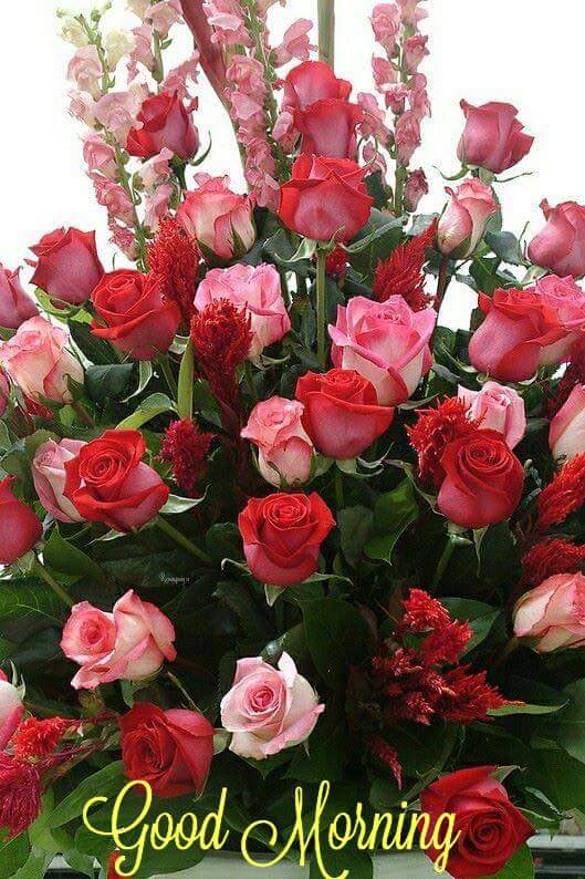 Good Morning Blessed Friday Omar. 🍁 On Twitter: "Good Morning... Blessed Friday... Happy Weekend To  All Twitter Friends... Wish Blessings Of The Holy Day For All.  Https://T.co/Lkxk85Ek8N" / Twitter