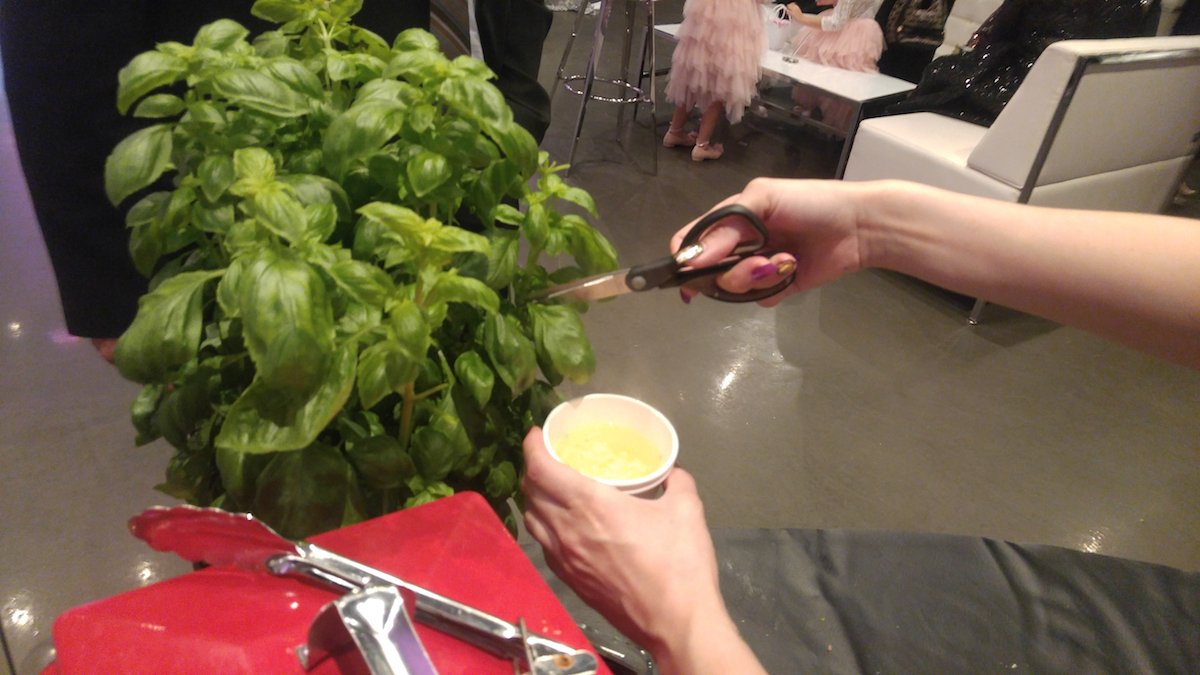 CafeAcappella's tweet photo. Fresh Basil #Cafeacappella #Mobileespressobar https://t.co/rX9dTIdTxu