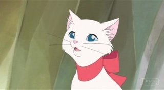 猫の恩返しのユキちゃんは最強にかわいい そしてわたしもユキちゃん