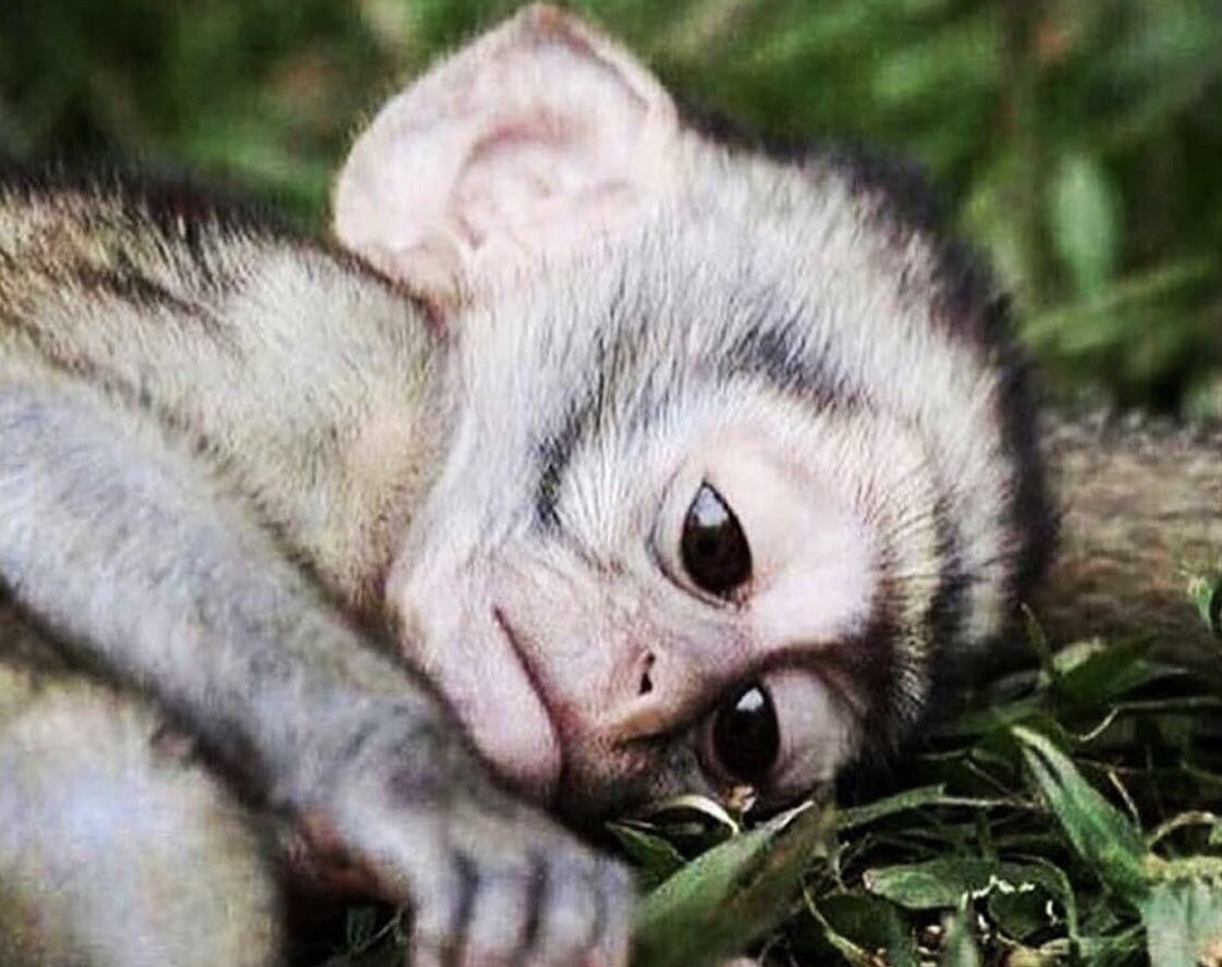 Club 18-30 Malia tweet media