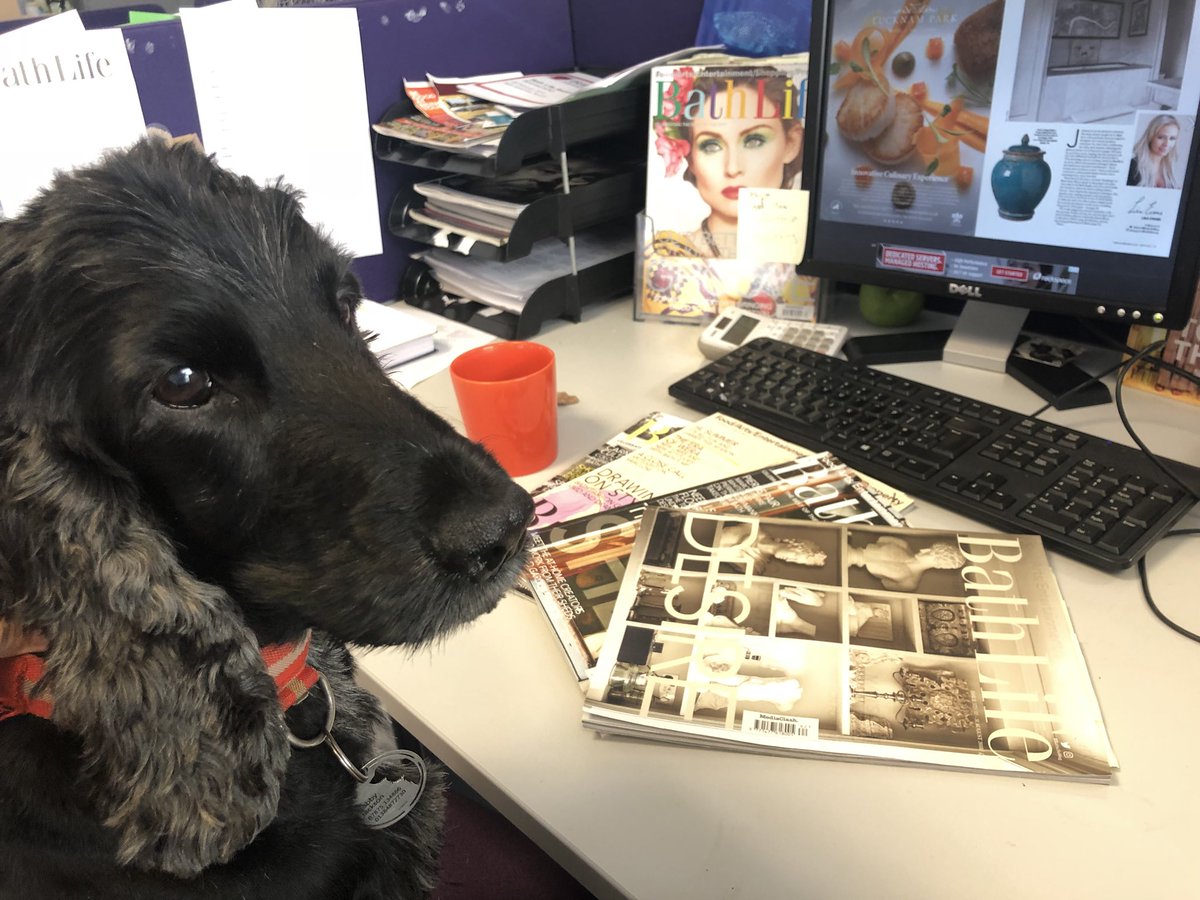 Bobby Jackson. Answering any of your advertising and marketing queries @BathLifeMag @TheMediaClash #BringYourPetToWork