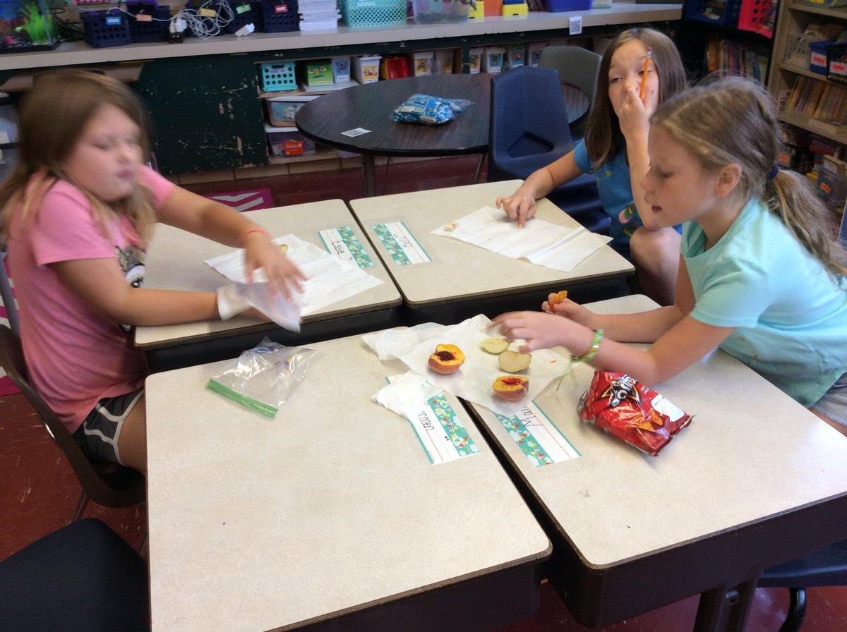 mhelmuth14's tweet photo. Third graders are comparing fruits—Asian Pears, Bartlett Pears, and Autumn Gold Peaches! Great discussion on seeds!🍑🍐 #cpsscience101 @RUSBLVD https://t.co/stR8hg4ij2