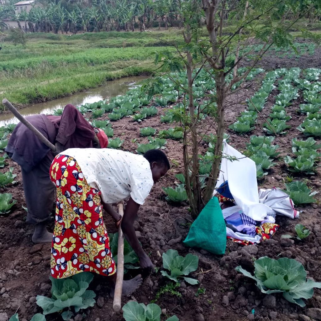 THSch_Rwanda's tweet photo. Women at work with newborn: this is the community we support. https://t.co/L413AoGtIu