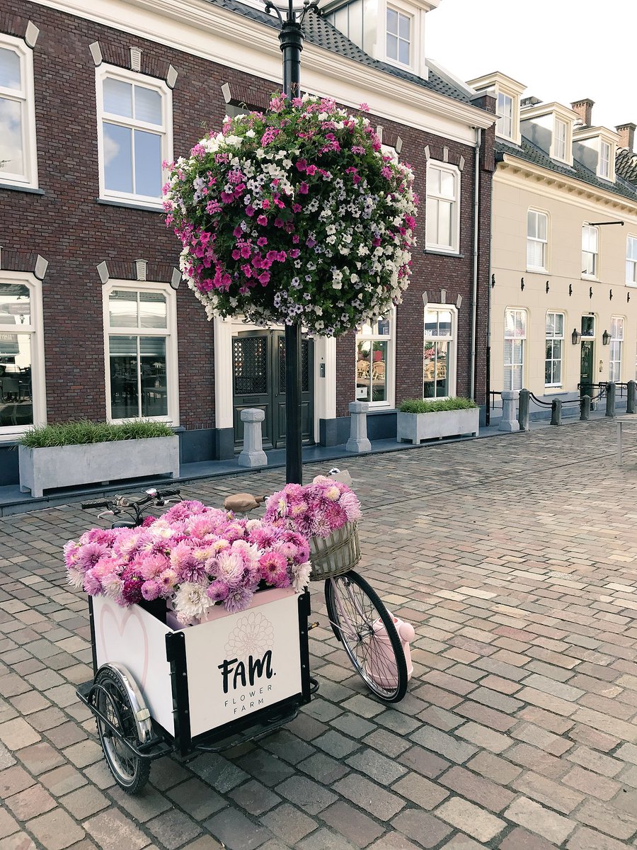 Our contribution to the dahlia event in Lisse. There are several mosaic made of dahlia flowers, the dahlia gardens are open <a href="/KeukenhofCastle/">Kasteel Keukenhof</a>  and a dahlia bicycle route via <a href="/visitlisse/">Lisse</a> 
#dahlia #lisse #selfiespot #dahlias #mosaic #flowers #flowerevent