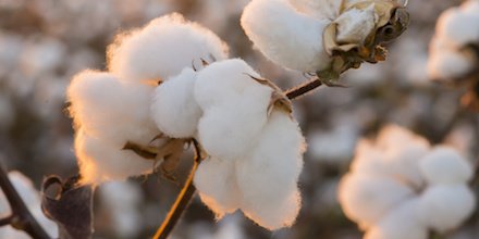 GreenDailyLife's tweet image. With Fall shopping season upon us, take a #sustainable first step with our introduction to sustainable fabrics. #sustainablefashion #sustainability greenerdailylife.com/story/getting-…