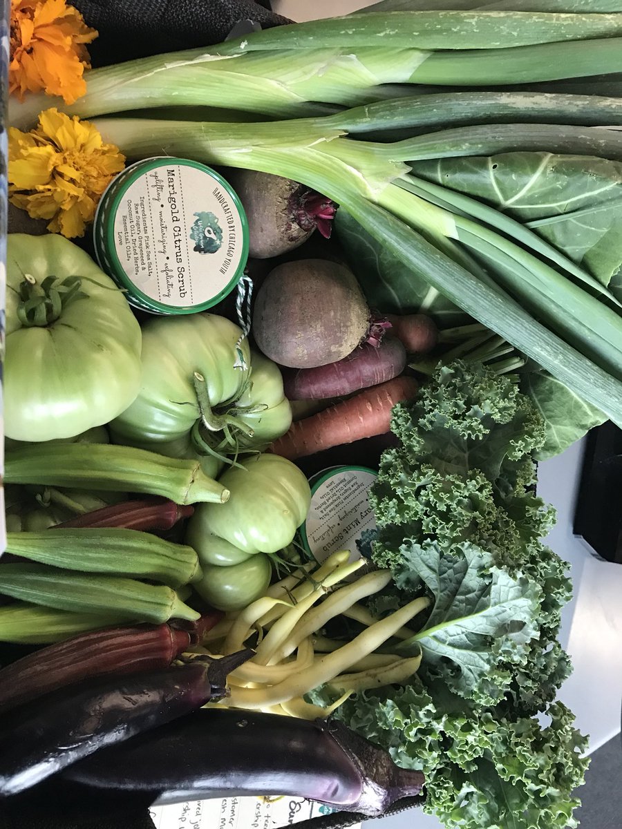MehGrath's tweet photo. Making a 🥦🍆🌽delivery to our friends at @CochranShow, courtesy of @UrbanGrowerChi. https://t.co/HMyHawlvTB