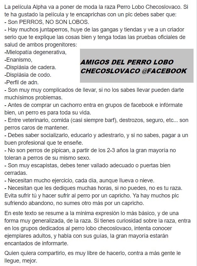 Nessa M. Clavijo tweet media