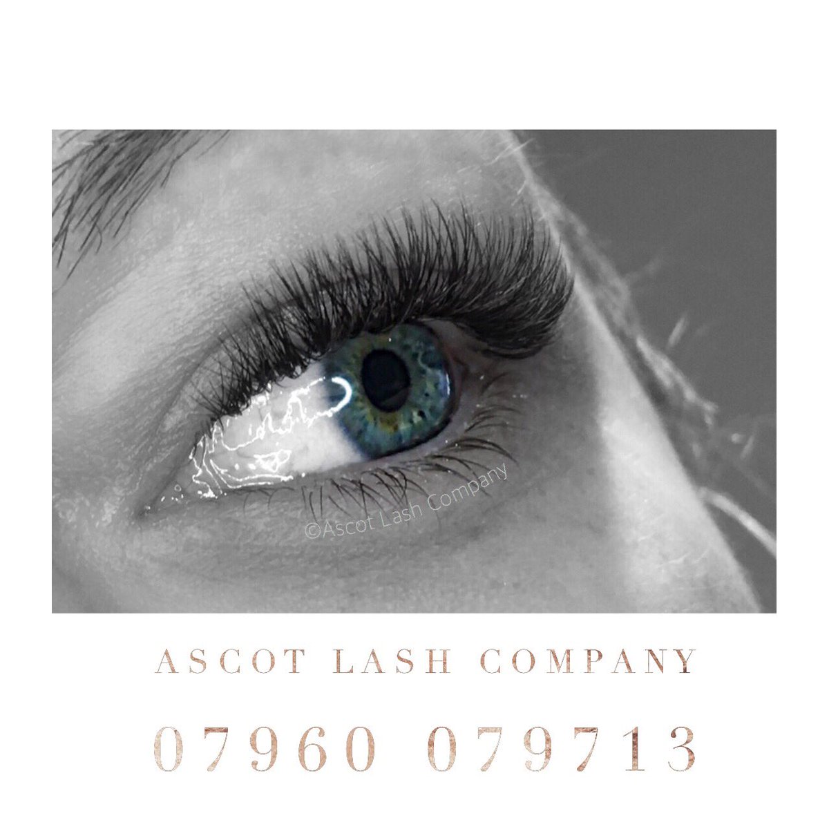 ascotlashco's tweet photo. Friday fluff, bring on the Bank Holiday weekend 💃🏻🍸 #eyelashextensions #berksire #ascot #lashaddict #ascotlashco #lashes #eyelashes #3D #4D #5D #volume #russianvolumelashes #russianvolume #ruvolume #beauty #volumelashes #fluffyfans #ruvol #lashextensions #berkshirelife #lashes https://t.co/3ldostY4is