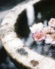 ᴄᴀsᴛɪʟʟᴏ ʏ ᴛᴇʀʀᴇɴᴏs;;