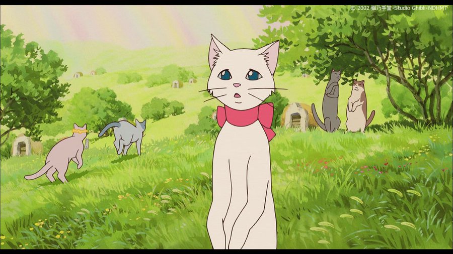 猫の恩返し の声優キャスト一覧 山田孝之ら豪華声優陣が揃う Ciatr シアター