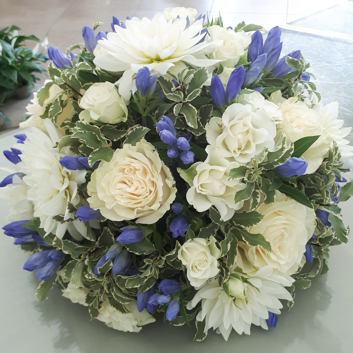 CroesiO's tweet photo. Una calda serata d'estate, una bellissima terrazza sul mare, un centrotavola fiorito su  un elegante tavolo per una cena tra amici🌅

#croesiorchidee #piante #fiori #bouquet #centerpiece #flower #elegance #flowerandplantshop #summer #flowerlover #flowerpassion #camporosso https://t.co/8pUis1v3zC