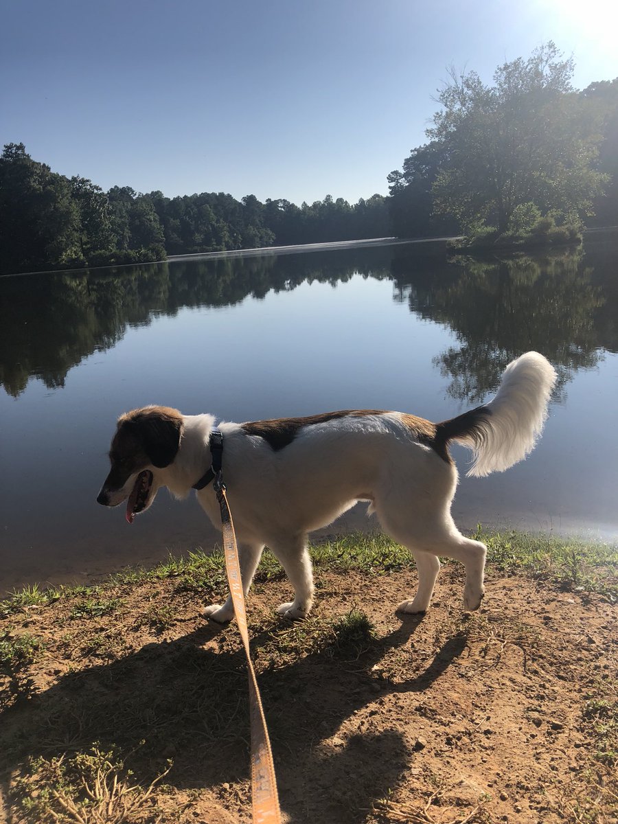 _JennBates_'s tweet photo. Griffey is a fan of the Carolinas #ASCGreenway https://t.co/M1BNzjzQv6