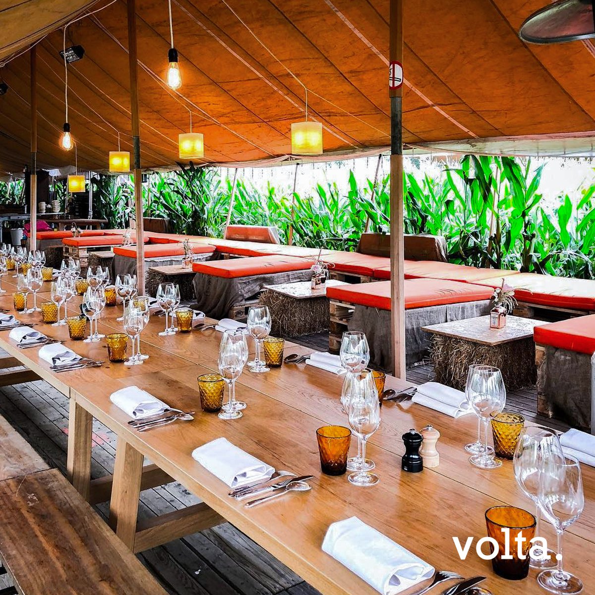 Volta Gent tweet media