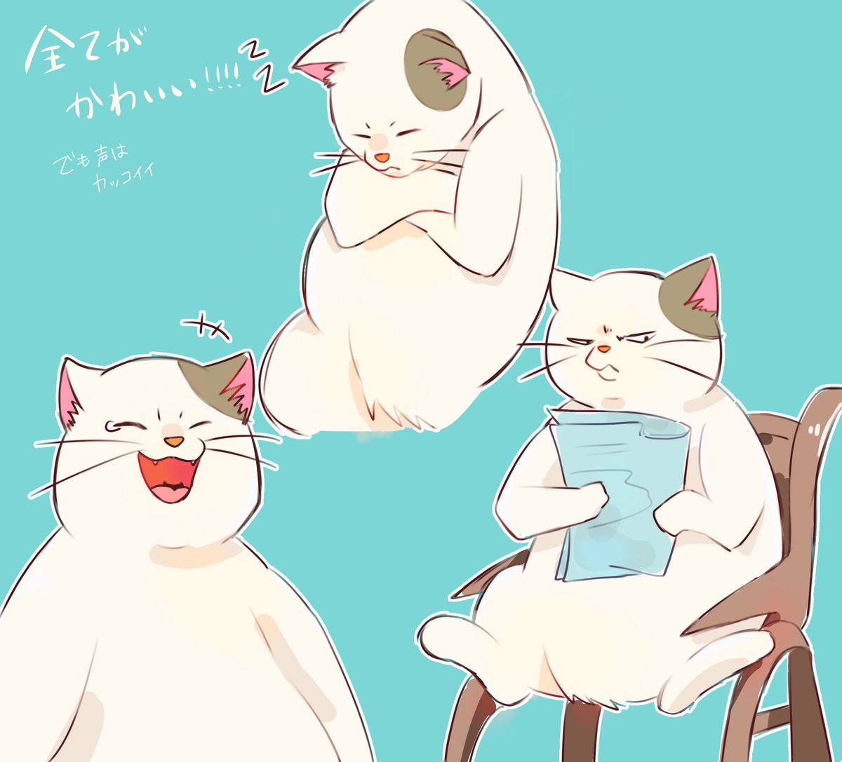 時雨 猫の恩返し 最推しムタさん