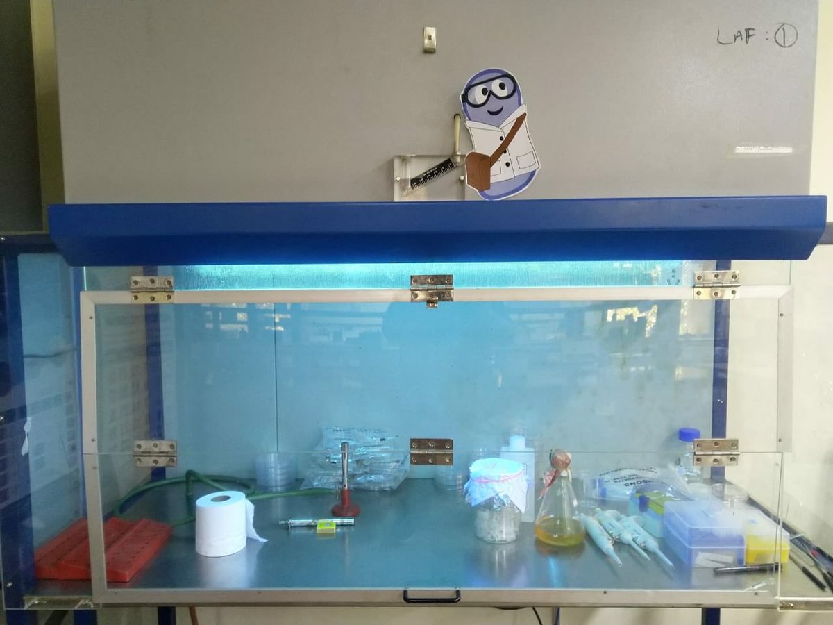 iGEM_IITM's tweet image. Scrambling toward #Interlab deadline with #MikeTheMicrobe
@igemlabpats #giantjamboree #iitmadras