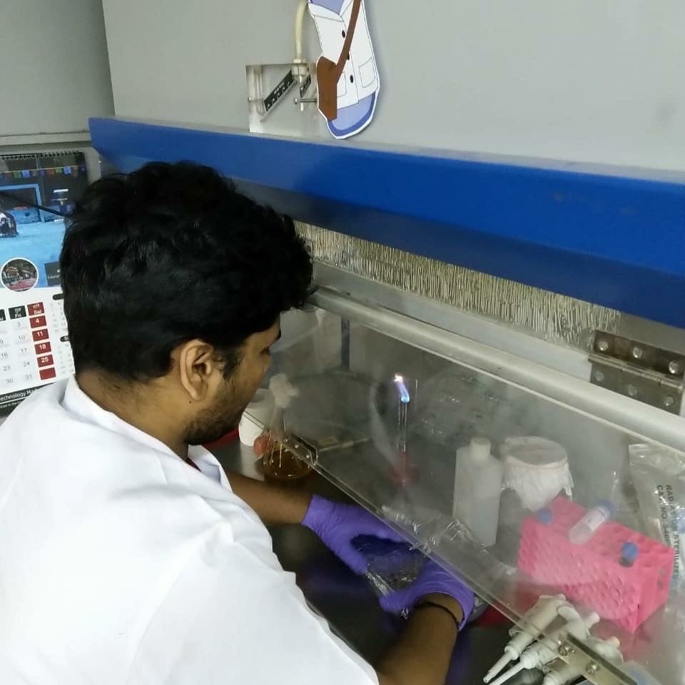 iGEM_IITM's tweet image. Scrambling toward #Interlab deadline with #MikeTheMicrobe
@igemlabpats #giantjamboree #iitmadras