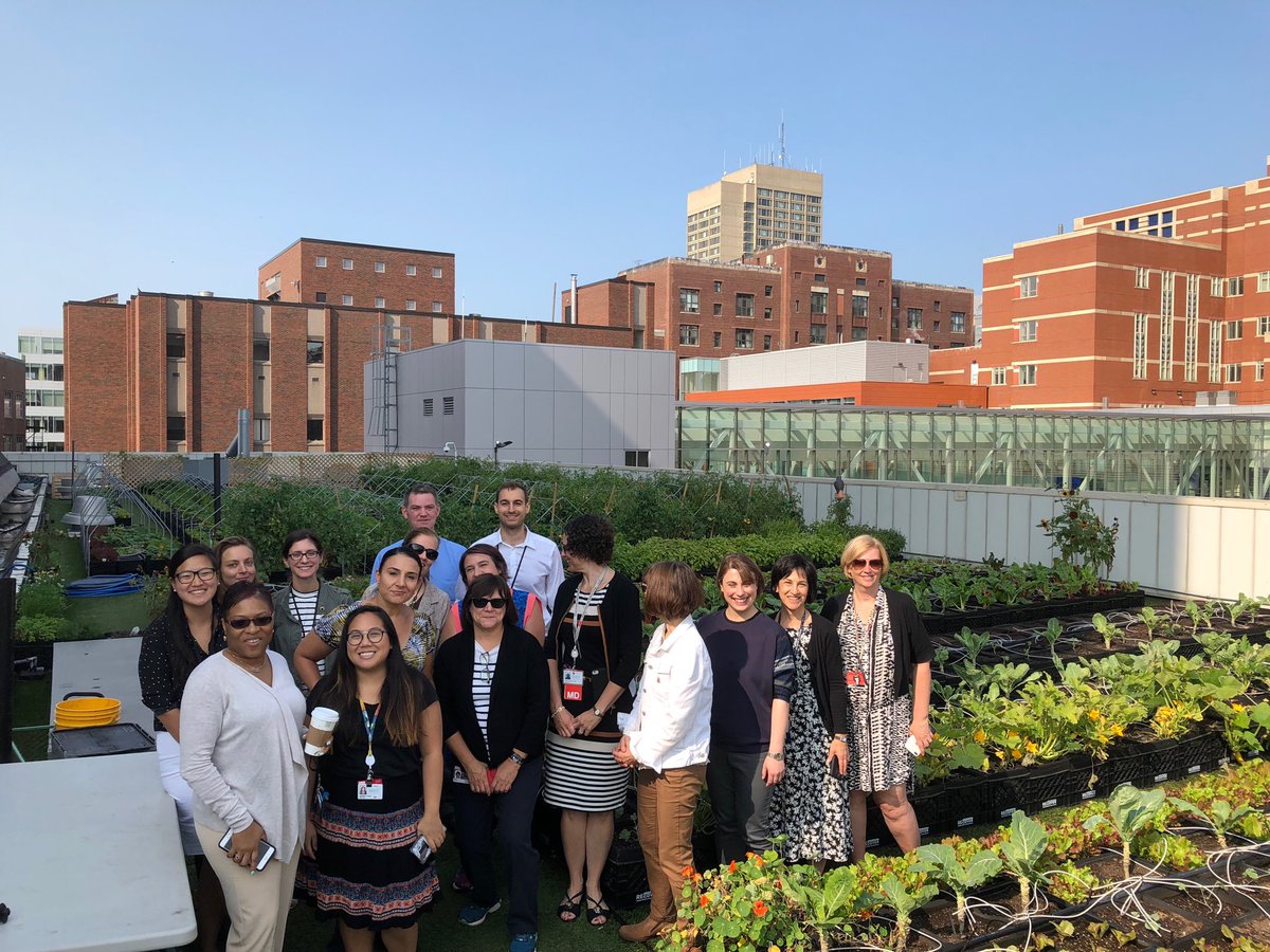 DayDHollis's tweet photo. Geriatrics rocks BMC’s rooftop garden! https://t.co/L934VprZbk