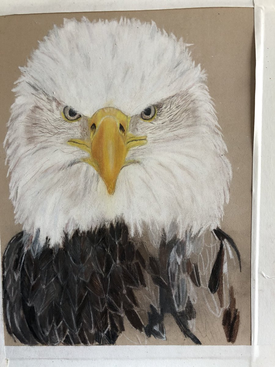 JudithV's tweet image. A little more progress
Http//www.jvartresources.com  
8“ x 10“ Pastelmat 
Luminance, Polychromos, Pablo‘s,Derwent Lightfast
Pixabay and several of my awn photo references.