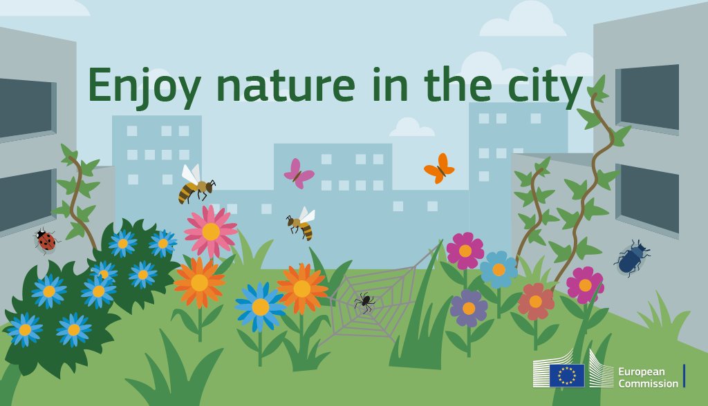 ebook Social Cognition: Making